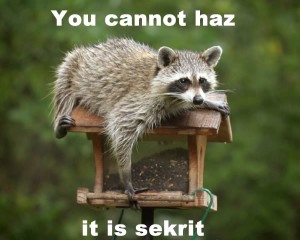 sekrit-raccoon